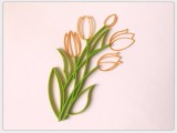 Flowers tulips-1