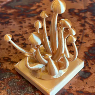 Bunch of mushrooms-1