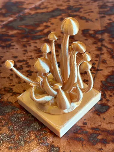 Bunch of mushrooms-1