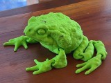 Frog-8