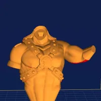 torso-2