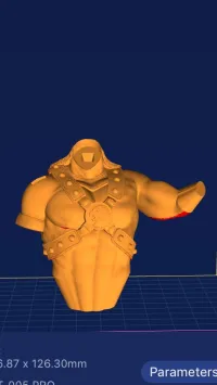 torso-2