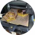 avatar of Mr_Ham