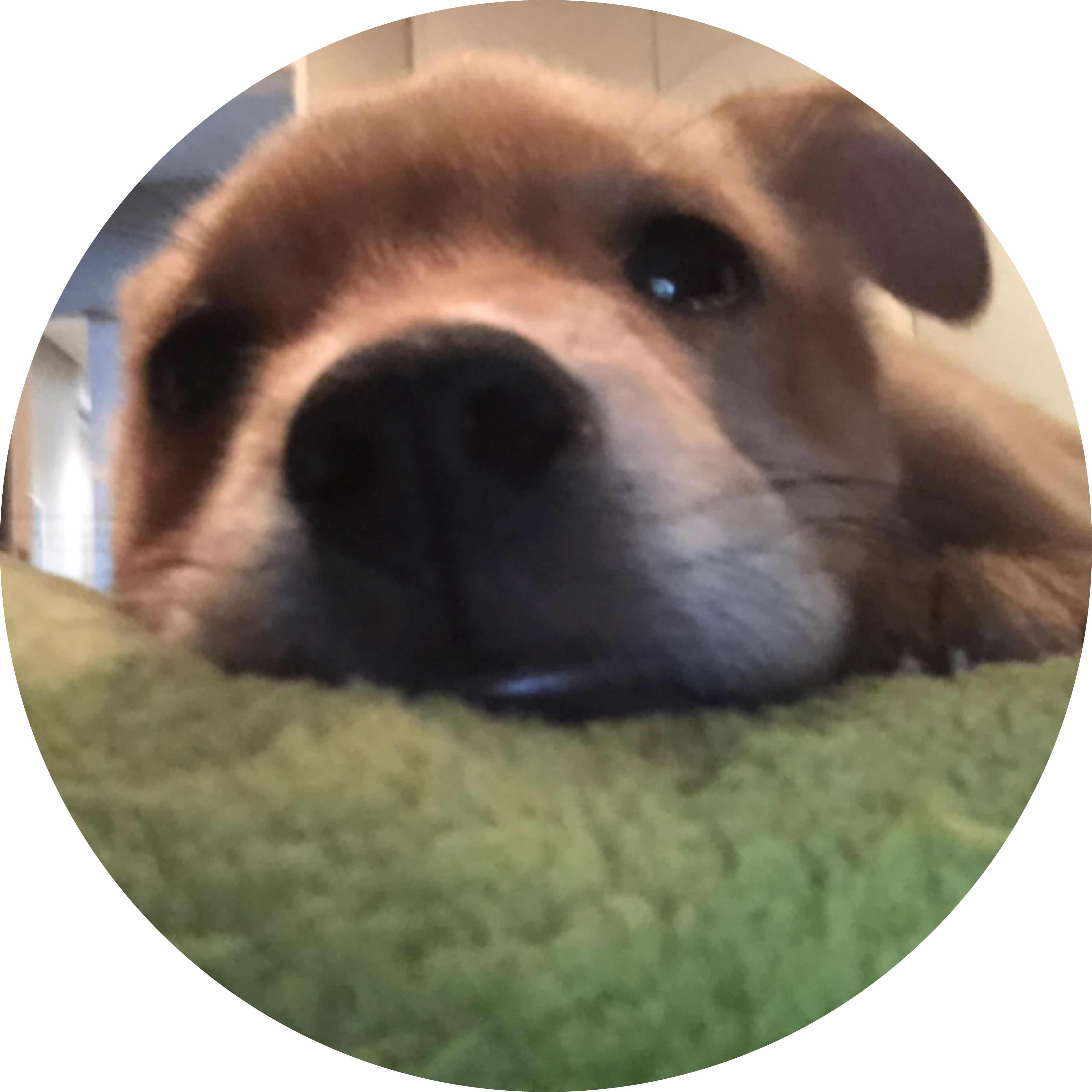 avatar of Jasper45