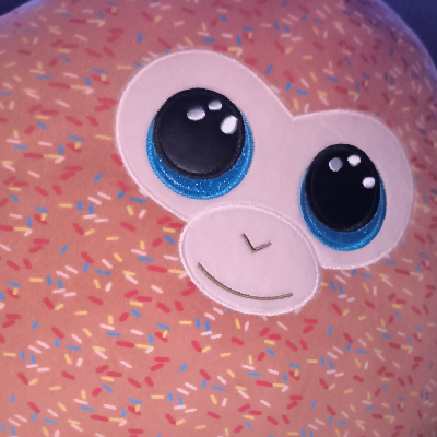 avatar of nichtrerraps