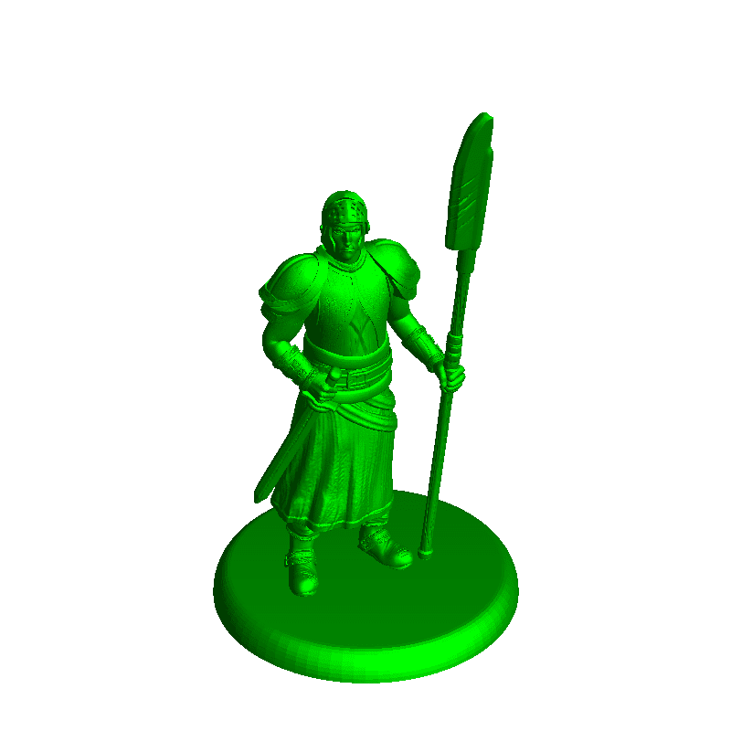 City Guard - Tabletop Miniature