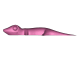 sticky gecko-1