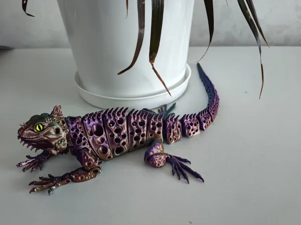 iguana