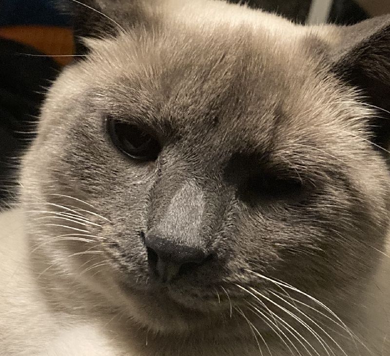 avatar of Soursauze@0Z