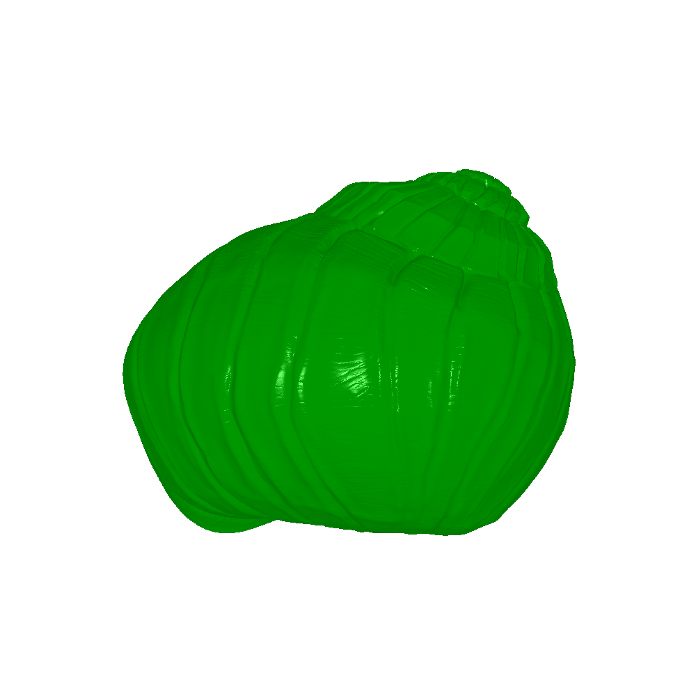 slug with shells