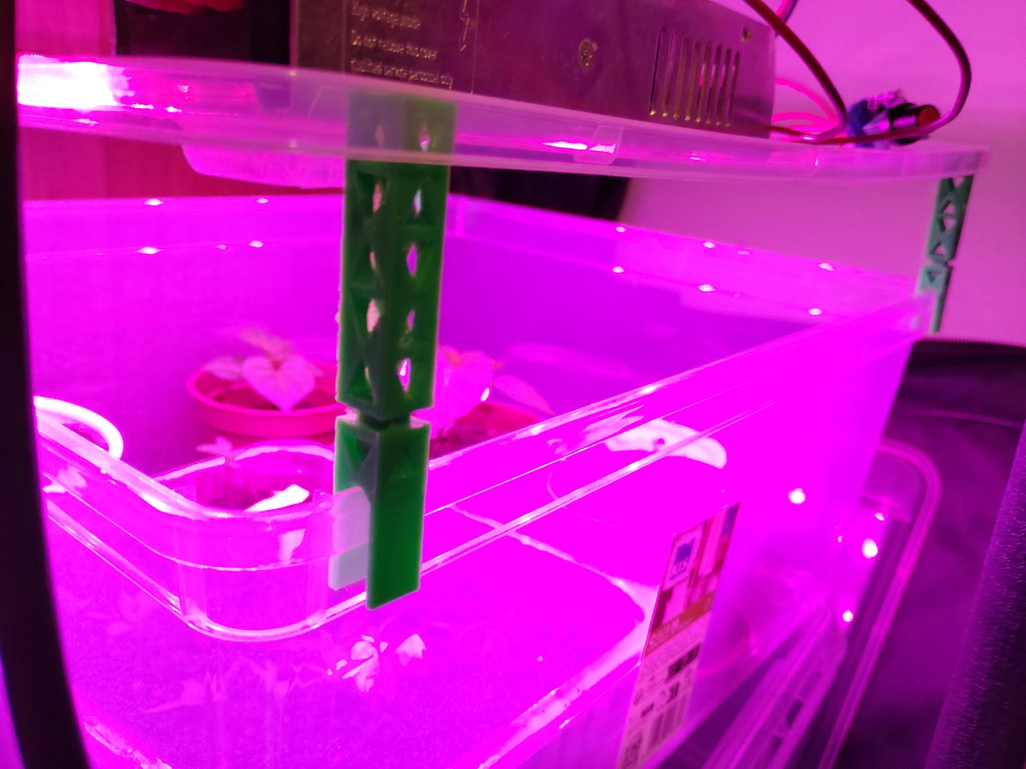 plant support-1