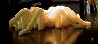 Tarantula Spider-1