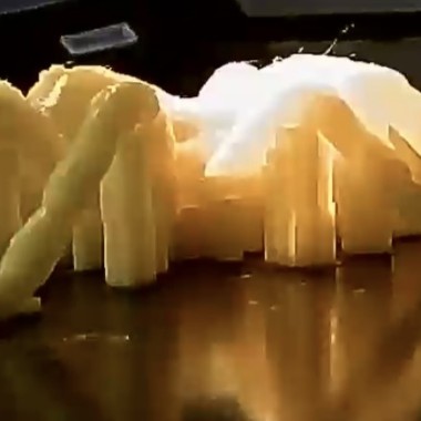 Tarantula Spider-1