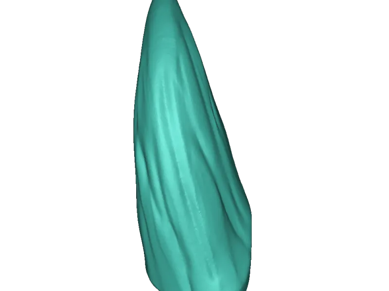 tusks 