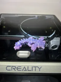 Apple Blossom Flexible Baby Dragon-1