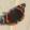 avatar of maxgti82