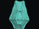 Ancient personal shield-0