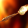 avatar of Gurhan