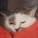 avatar of Sticky1331
