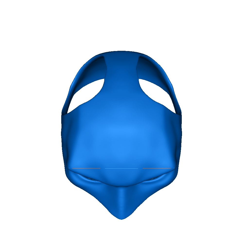 chauve-souris