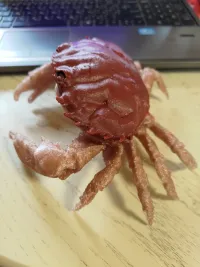crab case-3