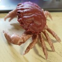 crab case-3