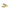 croco