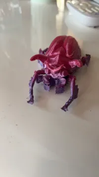 Horned Scarab Beetle-1