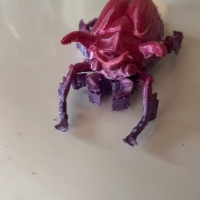 Horned Scarab Beetle-1
