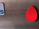 Egg Magnet-1