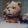 avatar of user7053216720