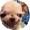 avatar of Xennita