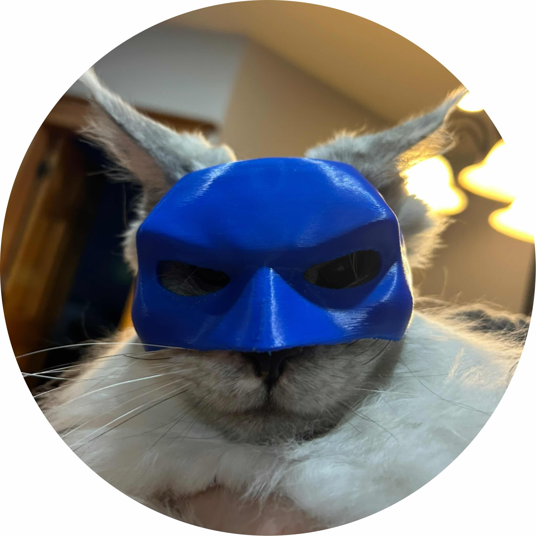 avatar of Teramonic