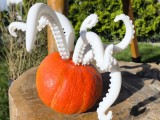 Oktopus arm-0