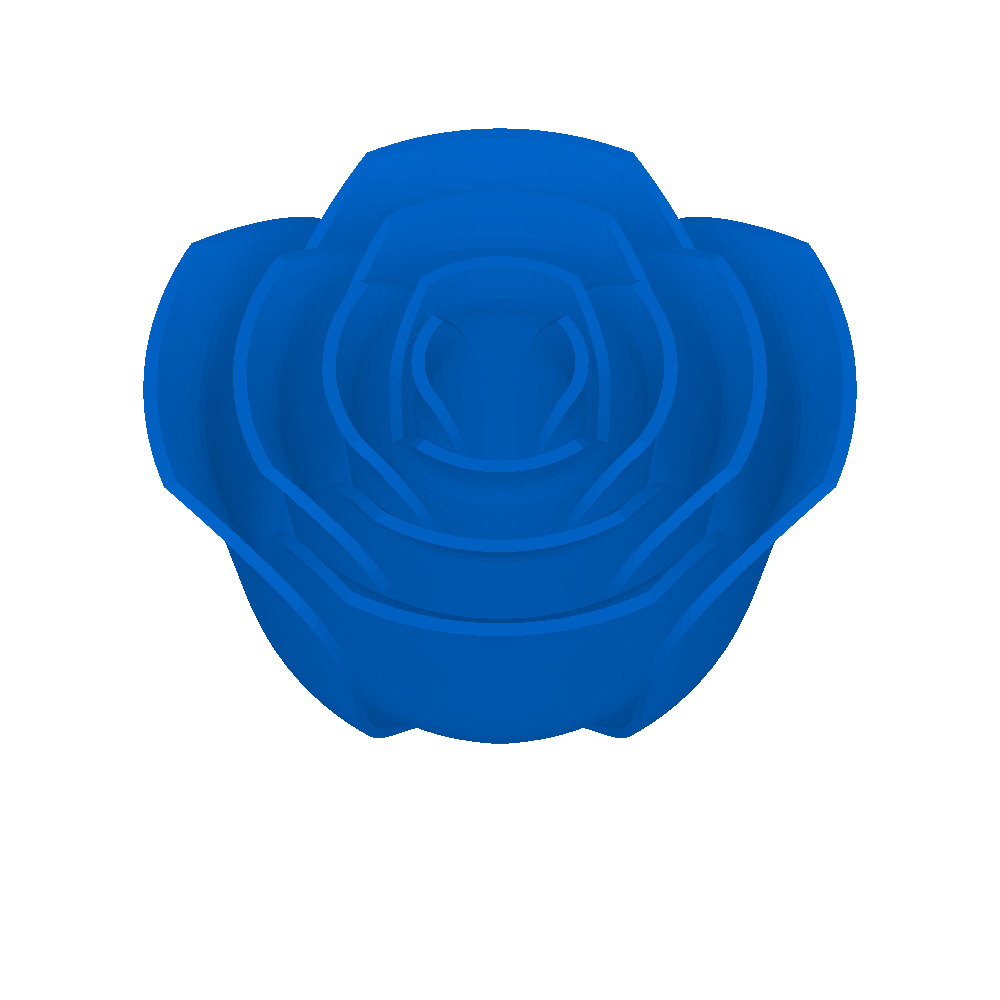 rose