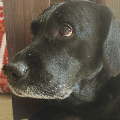 avatar of SmartPowerStore