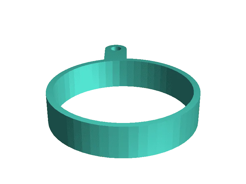 ring sizer