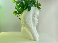 AHSOKA FLOWER POT-STAR WARS-2