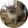avatar of Bitcoin Stonks