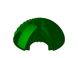 tortugas -6