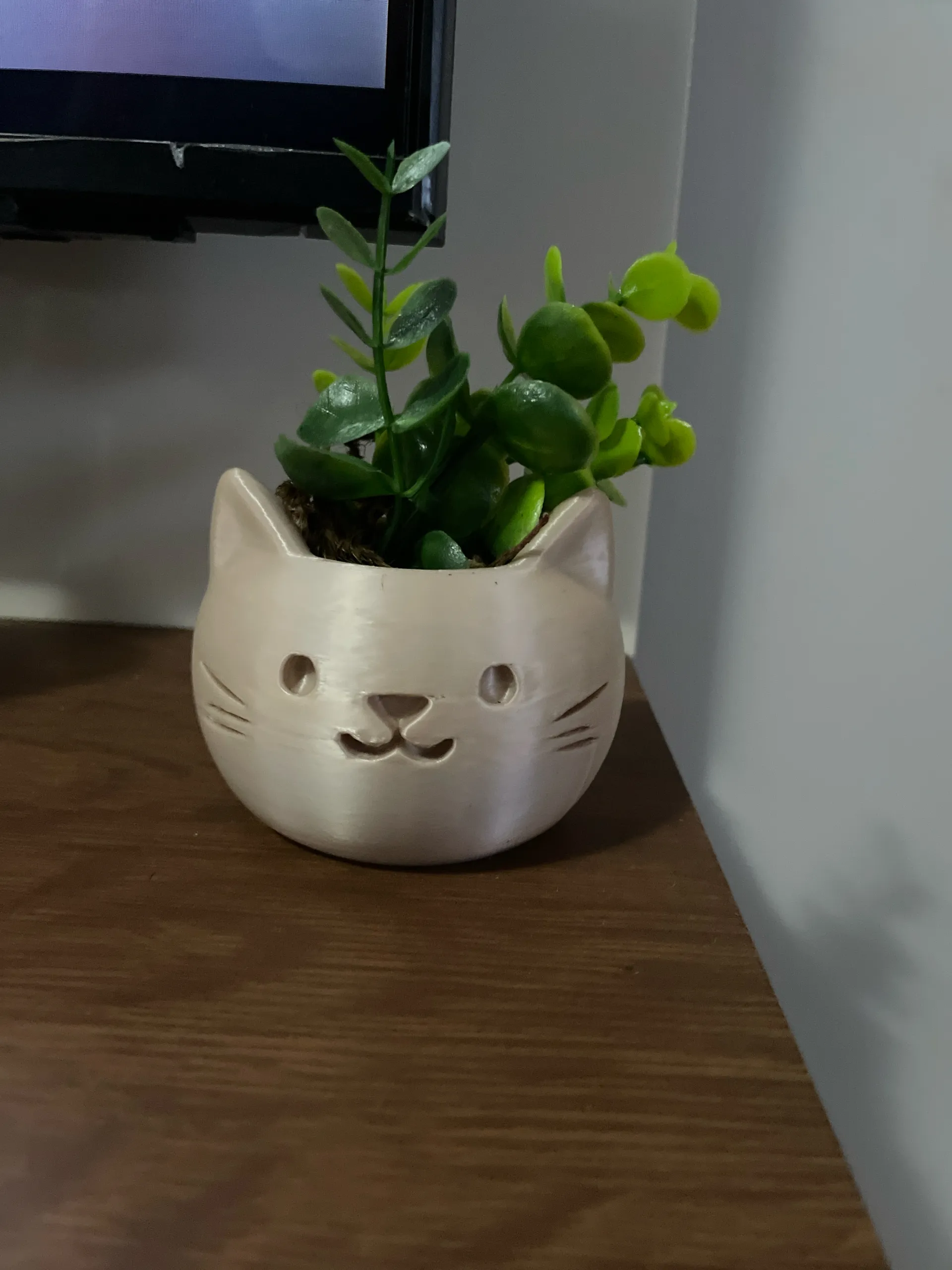 vaso gatto-0