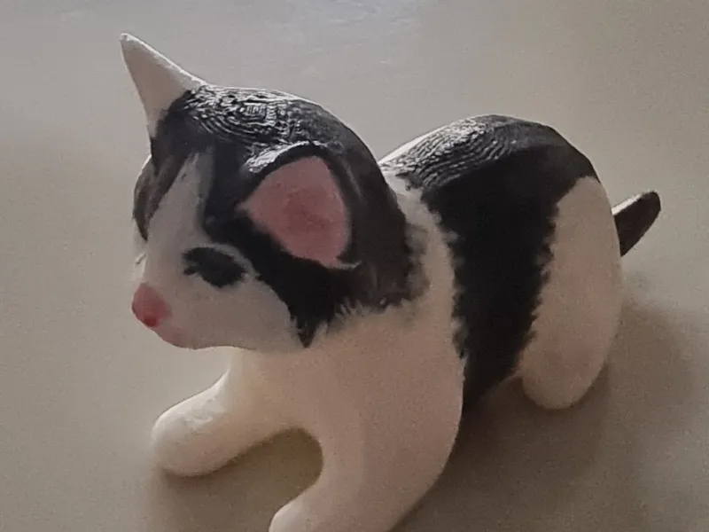 Baby Cat Warrior