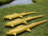 vtail dragon shad-2