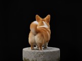 Corgi-2