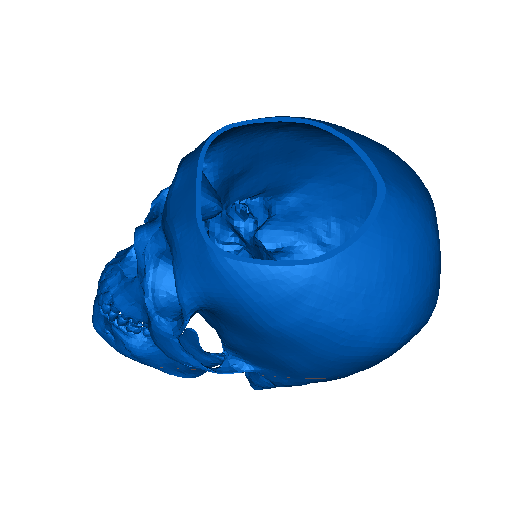 skull-pot | 3D models download | Creality Cloud