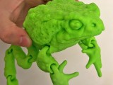 Frog-6