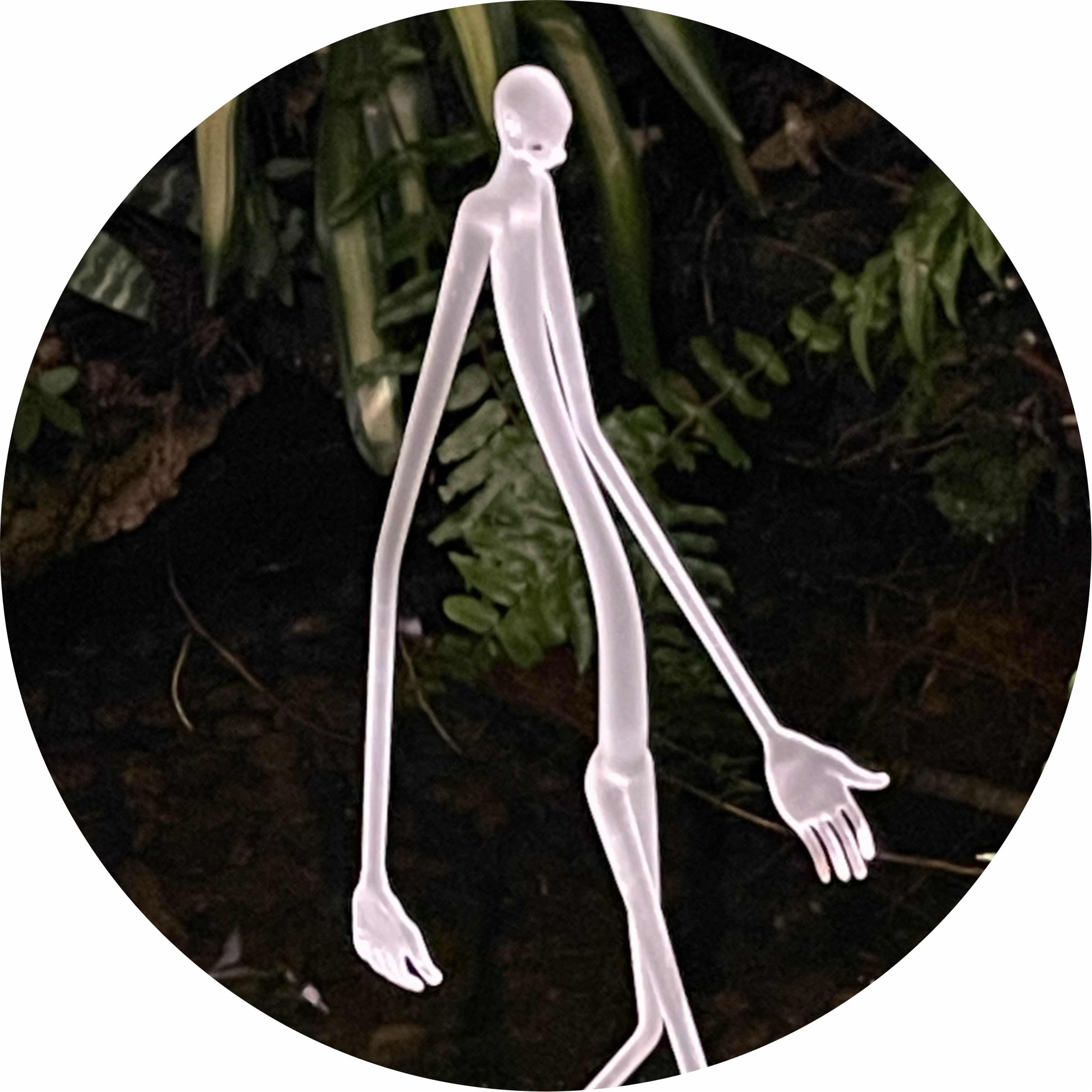 avatar of Mason4457