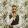avatar of Mangieri