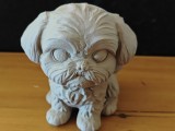 Shih Tzu-1