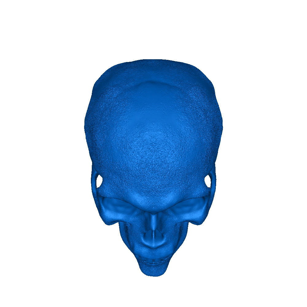 Head skull | 3D models download | Creality Cloud